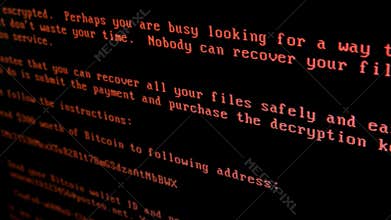 Strong computer virus Petya A