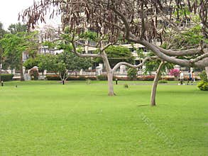 On the greens