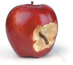 Wormy apple