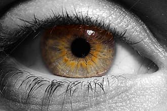 Eye closeup (B&W)