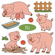 Set of cute farm animals and objects, vector family pigs