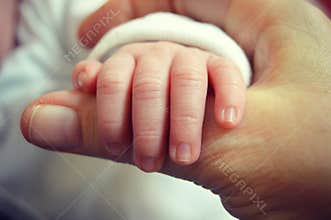 Infant Hand