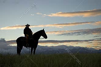 Cowboy silhouette