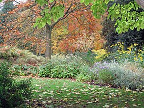 Autumn Garden View