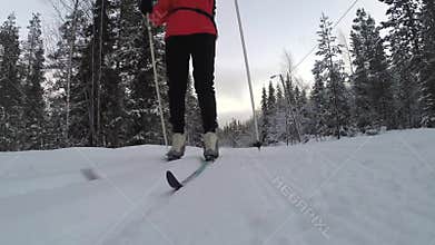 Woman cross-country skiing in the snowy forest
