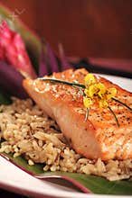 Salmon on rice