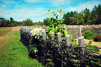 Rustic Charm: Natural Fence at Old World Wisconsin