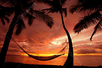 Hammock at Sunset in Paradise
