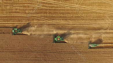 Combines in the field.