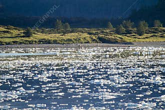 Chilean Fjords And Sarmiento Channel