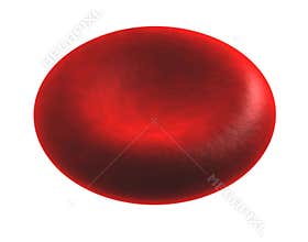 Blood Cell