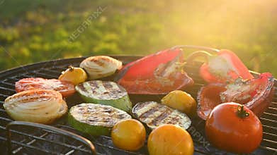 Grilled vegetables on background of green grass
