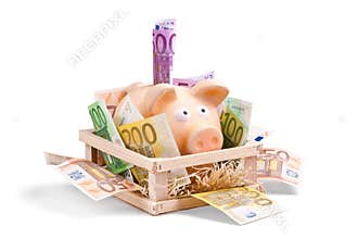 Rich Piggy Bank