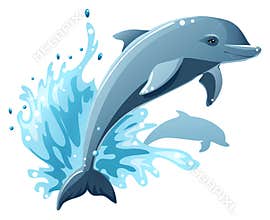 Dolphins
