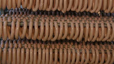 Fresh sausages are placed on racks in a meat processing factory