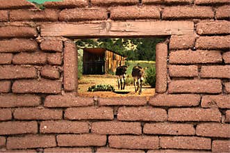 Through the Adobe Window