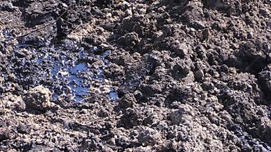 Environment pollution with toxic materials. Dirty soil after oil leak