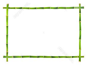 Bamboo frame