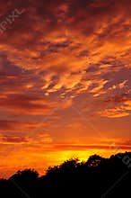 Sky at Sunset