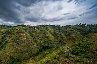 Beautiful landscape in southwestern Uganda,