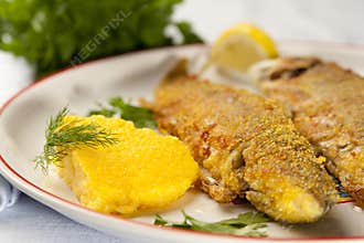 Baked rainbow trout with polenta