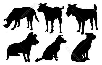 Set of dog silhouettes: