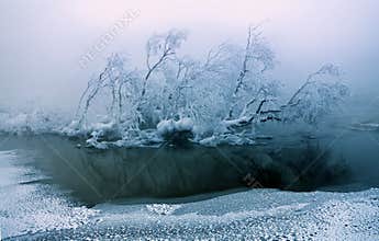 Calm winter landscape