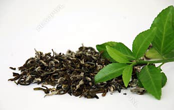 Green tea