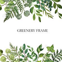 Watercolor botanical frame with lush greenery, herbs and green leaves on white background. Modern foliage frame. Floral invitation