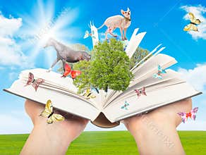 Magic book in human hands.