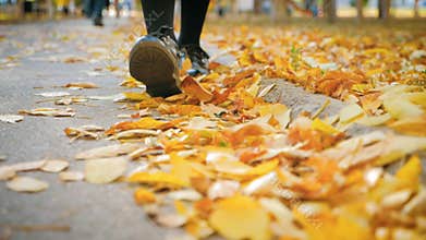 Feet of a young girl in sneakers on fallen leaves in the Park. Autumn concept.