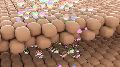 Skin drug penetration Body health care Skin care