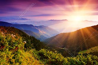 Summer landscape in mountains