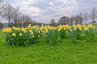 Ashdown House gardens - Oxfordshire - United Kingdom
