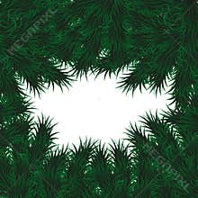 Fir branch, green spruce on a white background. Realistic Christmas tree. Vector illustration for New Year`s posters, Christmas