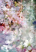 Romantic tender cherry flower and dirty background