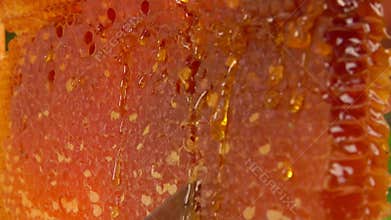 Honeycombs are cut with a knife from the frame