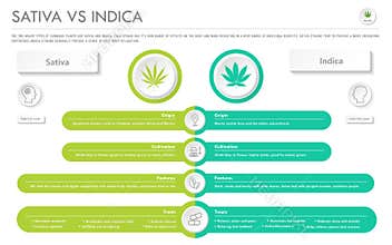 Sativa vs Indica horizontal business infographic