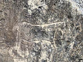 Gobustan, Azerbaijan, September, 11, 2019.  Ancient petroglyphs in Gobustan, Azerbaijan
