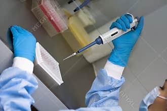 Doctor doing the ELISA test for HIV diagnostics