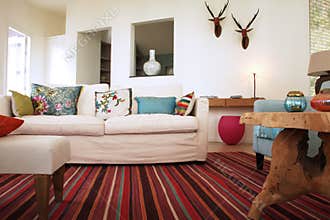 Fancy living room