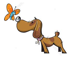 Cute dog and butterfly