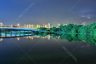Bridges and greenery by the river at night