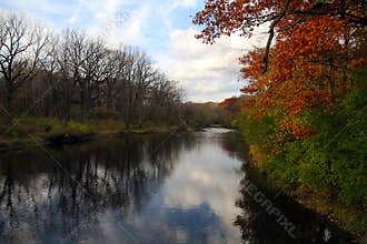 Riverside Autumn Colored Trees in Illinois II