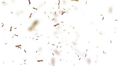 Flying Colorful Festive Confetti Animation