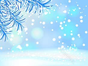 Abstract background with blue branches of fir-tree. Vector illustration