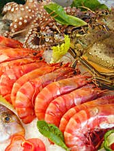 Fresh seafood