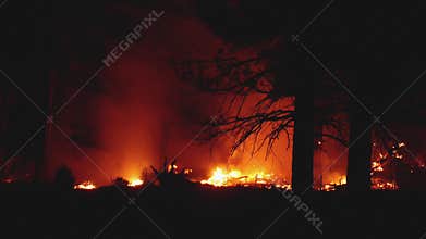 Arizona forest fire pan left