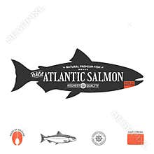 Vector wild atlantic salmon label