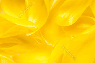 Yellow abstract background